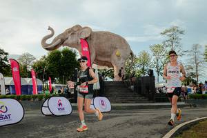 BIB: 
                            <button type="button" onclick="openModal(26529220)" class="btn btn-primary btn-sm float-right btn-popup" data-toggle="modal" data-target=".modal-high-quality">
                        <i class="fas fa-shopping-cart"></i> Add to Cart
                    </button>
                                            <button type="button" onclick="isThisMe(26529220, true)" class="btn btn-success btn-sm float-right btn-popup btn-isme hidden" data-toggle="tooltip" data-placement="bottom" title="นี่คือรูปของคุณใช่ไหม คลิกที่นี่เพื่อเอาเข้าอัลบั้ม">
                        <i class="fas fa-plus"></i> Add to album
                    </button>
                    <button type="button" onclick="isThisMe(26529220, false)" class="btn btn-warning btn-sm float-right btn-popup btn-isnotme hidden">
                        <i class="fas fa-ban"></i> Remove from album
                    </button>